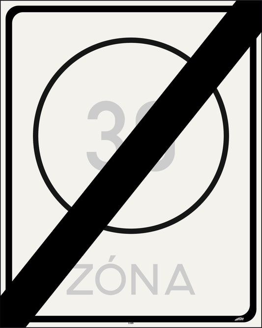 E-029